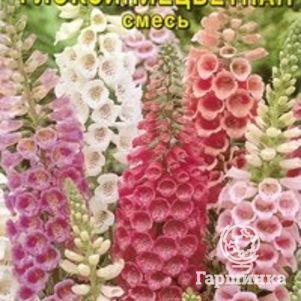 Наперстянка Глоксиниецветная пурпурная смесь окрасок ц/п, Семена Аэлита