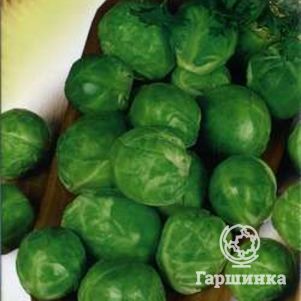 Брюссельская капуста Геркулес 0,2 г, Семена Гавриш