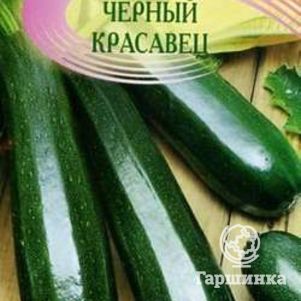Кабачок Черный красавец б/п 2 г, Семена Гавриш