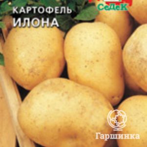 Картофель Илона Семена Седек 39₽