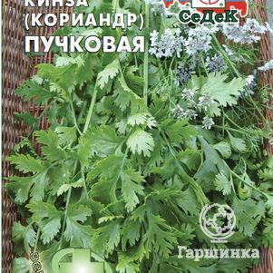Кинза Кориандр пучковая Семена Седек 42₽