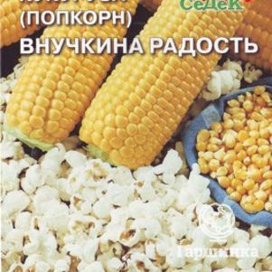 Кукуруза Внучкина Радость 5 г Семена Седек 40₽