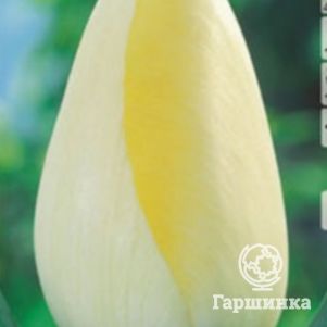 

Тюльпан Ле Крин Бланк Триумф 5шт