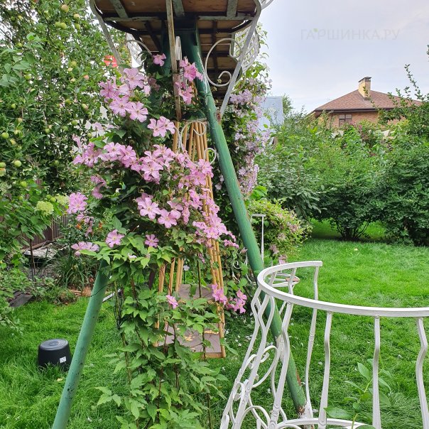 превью изображения отзыва