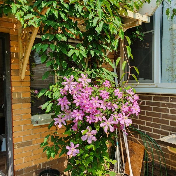 превью изображения отзыва