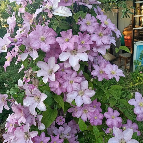 превью изображения отзыва