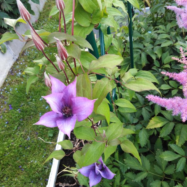 превью изображения отзыва