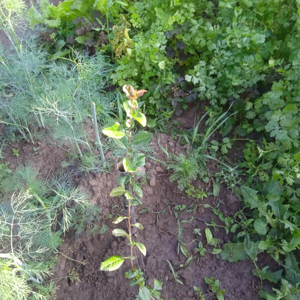 превью изображения отзыва