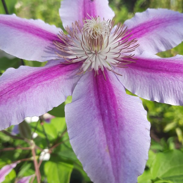 превью изображения отзыва