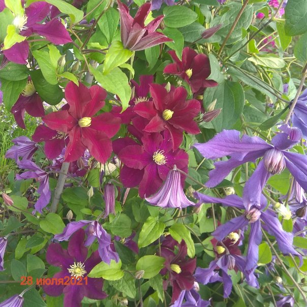 превью изображения отзыва