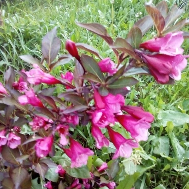 превью изображения отзыва