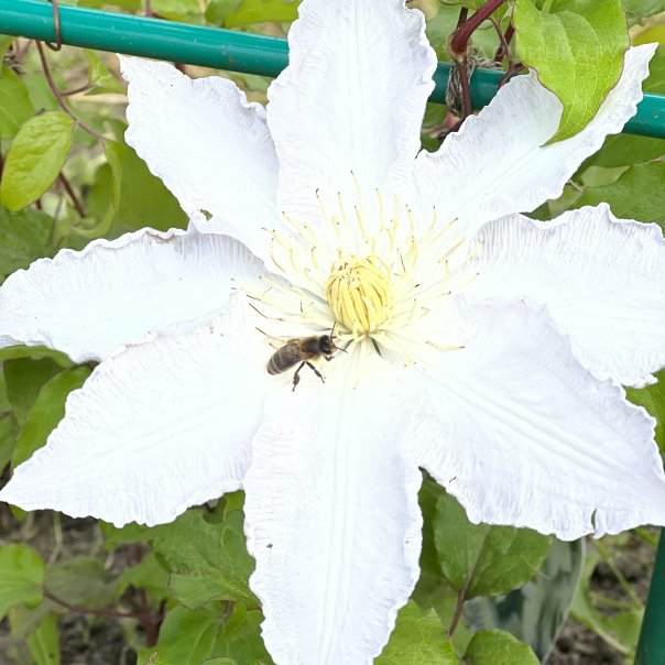 превью изображения отзыва