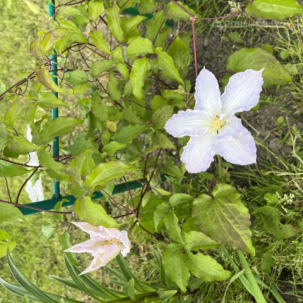 превью изображения отзыва