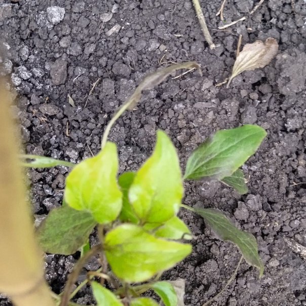 превью изображения отзыва