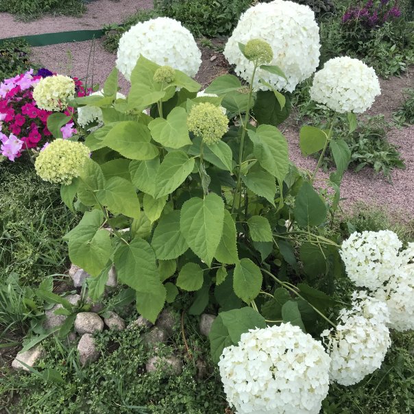 превью изображения отзыва