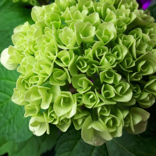 превью изображения отзыва