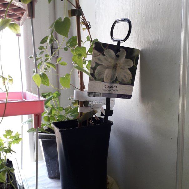 превью изображения отзыва