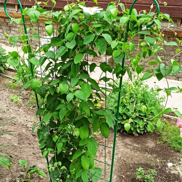 превью изображения отзыва