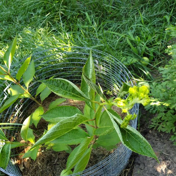 превью изображения отзыва