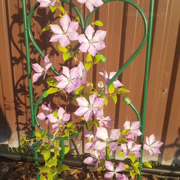 превью изображения отзыва