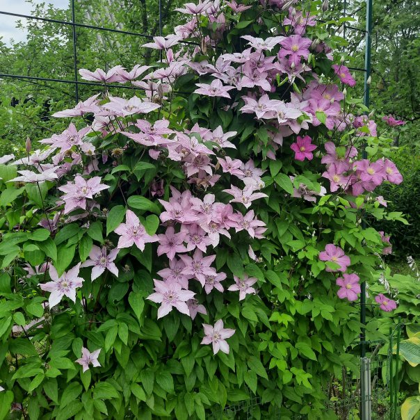 превью изображения отзыва