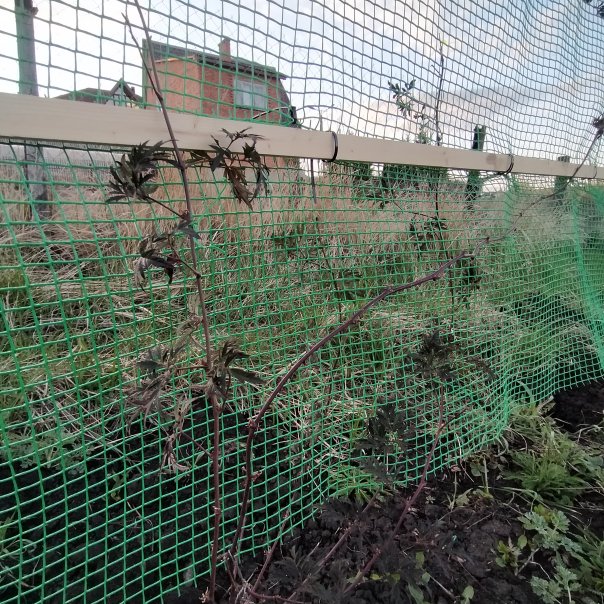 превью изображения отзыва