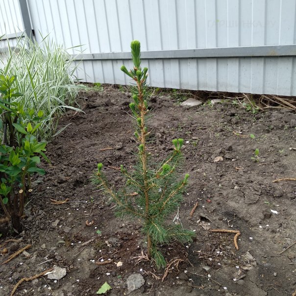 превью изображения отзыва