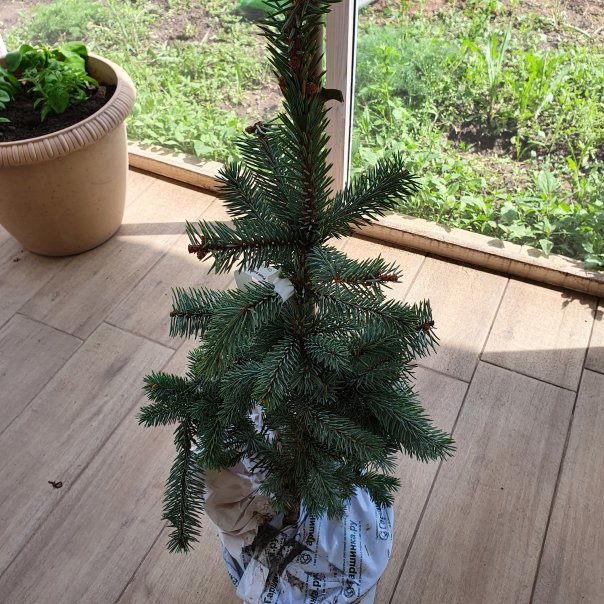 превью изображения отзыва