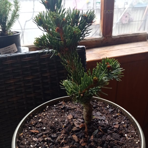 превью изображения отзыва