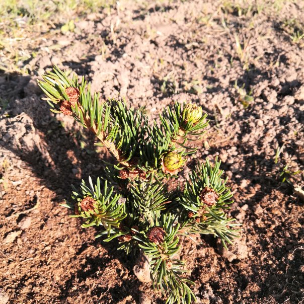 превью изображения отзыва