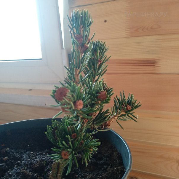 превью изображения отзыва