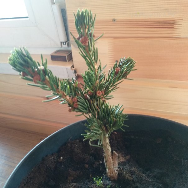 превью изображения отзыва