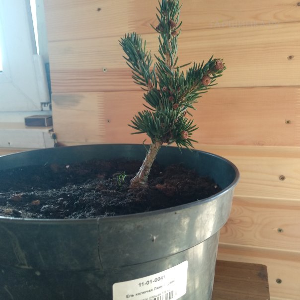 превью изображения отзыва