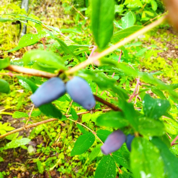 превью изображения отзыва