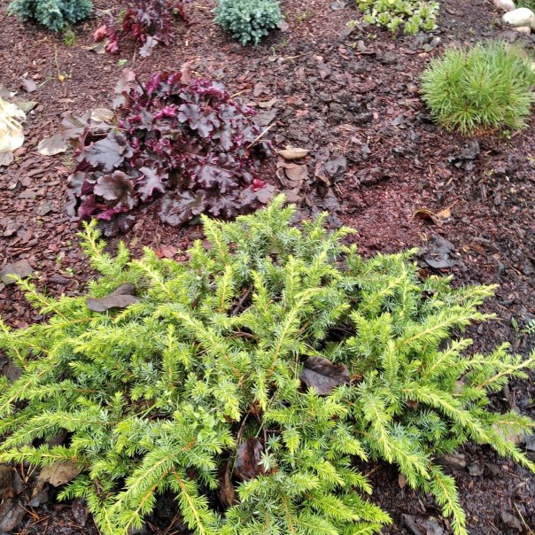 превью изображения отзыва