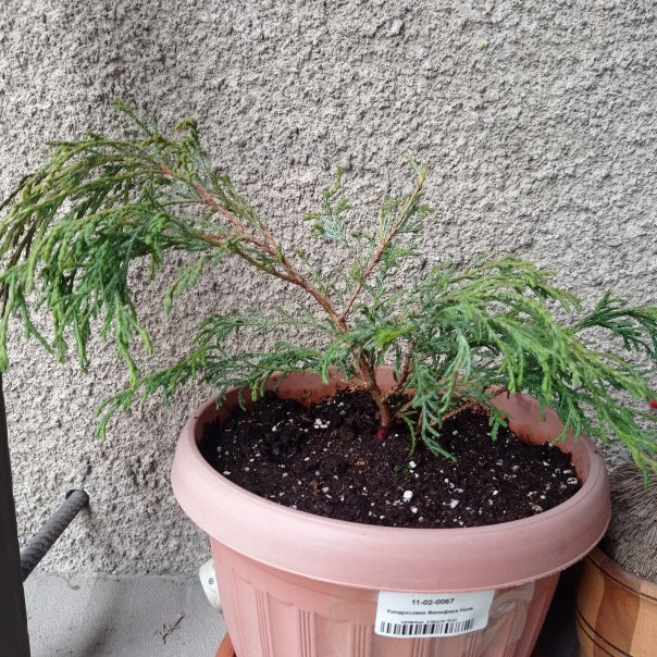 превью изображения отзыва