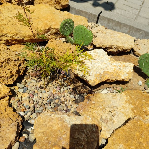 превью изображения отзыва