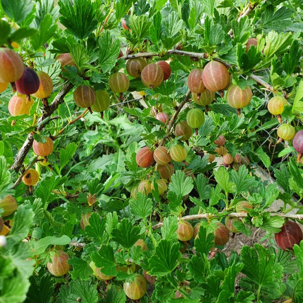 превью изображения отзыва