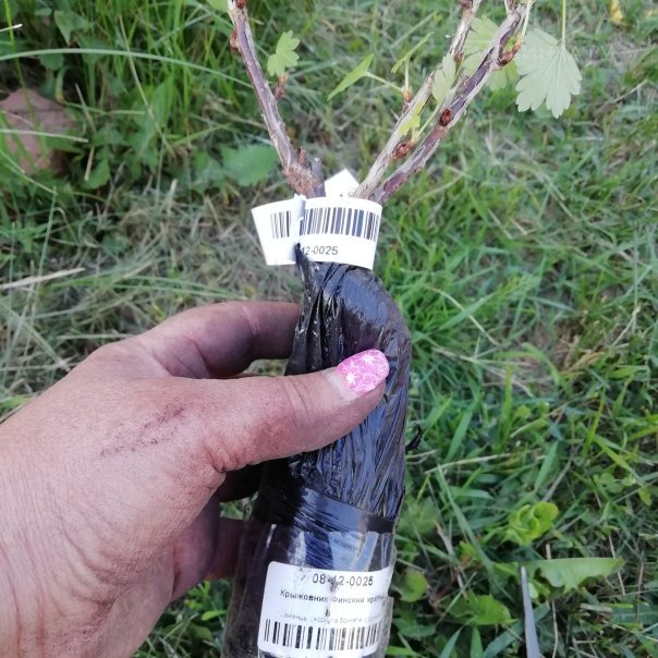 превью изображения отзыва