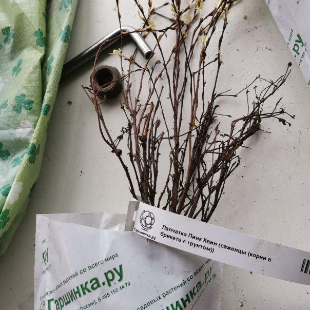 превью изображения отзыва