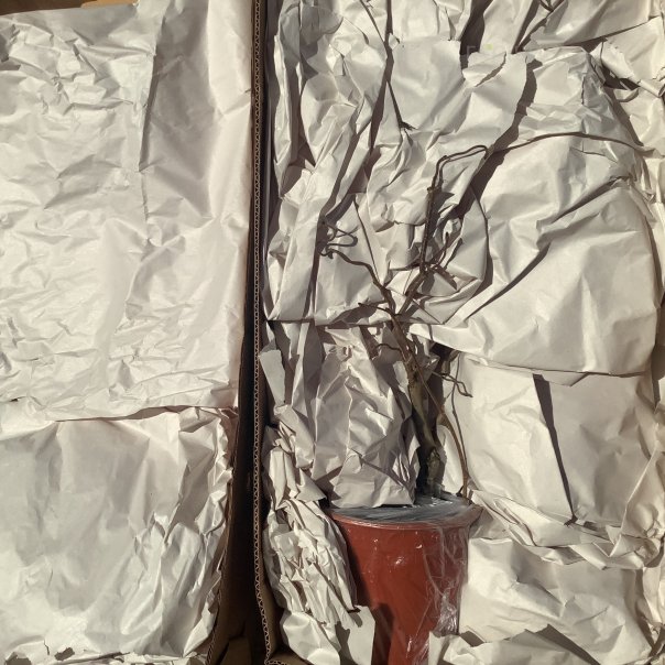 превью изображения отзыва