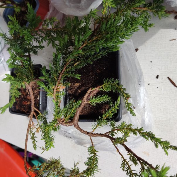 превью изображения отзыва