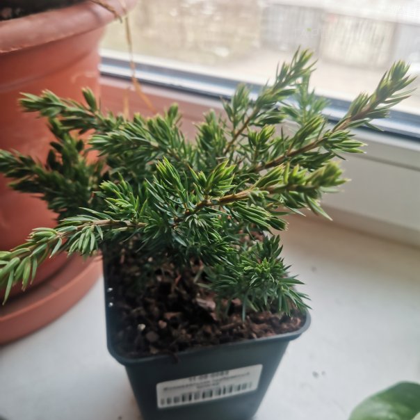 превью изображения отзыва