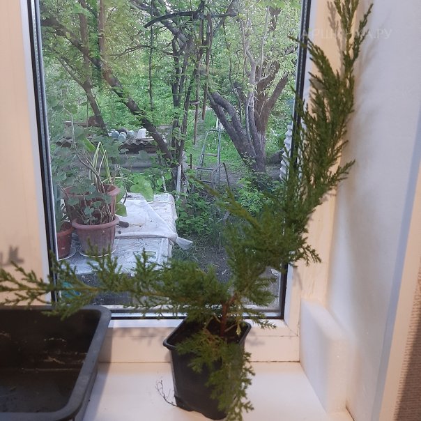 превью изображения отзыва