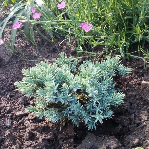 превью изображения отзыва