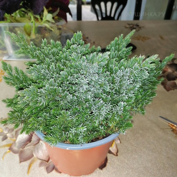 превью изображения отзыва