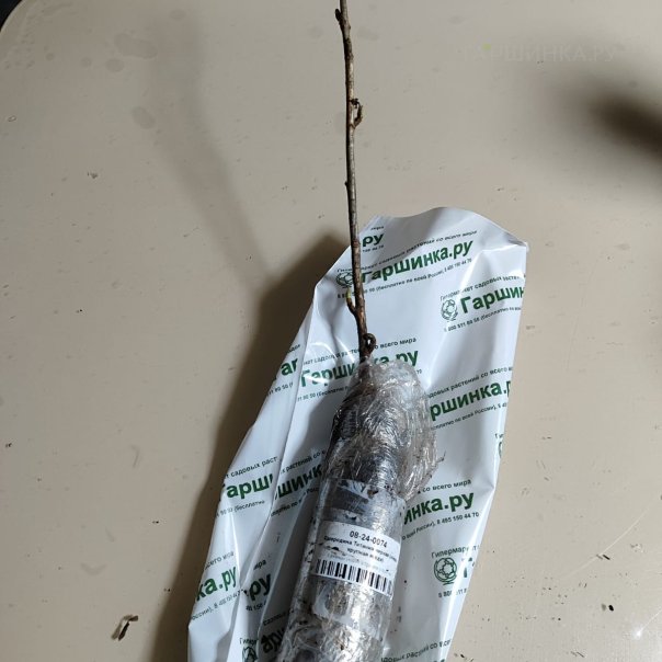 превью изображения отзыва