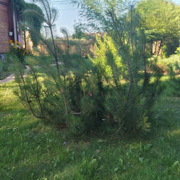 превью изображения отзыва