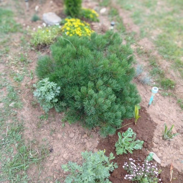 превью изображения отзыва