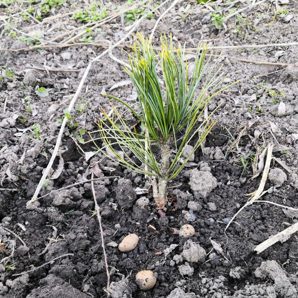 превью изображения отзыва